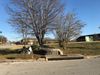 101 Darby Shire Cir photo